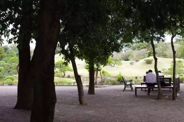 各种基础构图详细图解，保证这次你能看懂